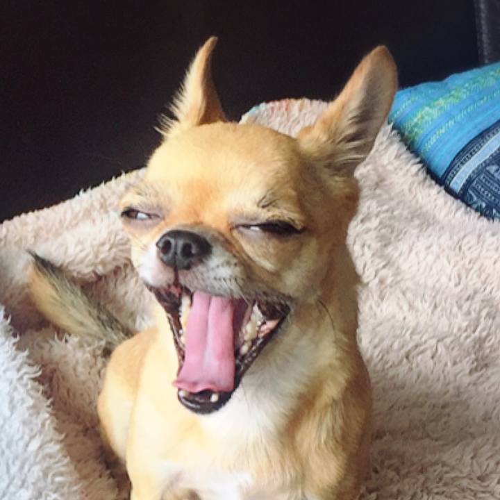 07781f7e eca0 4f20 9e1e d9bac9ff13c2