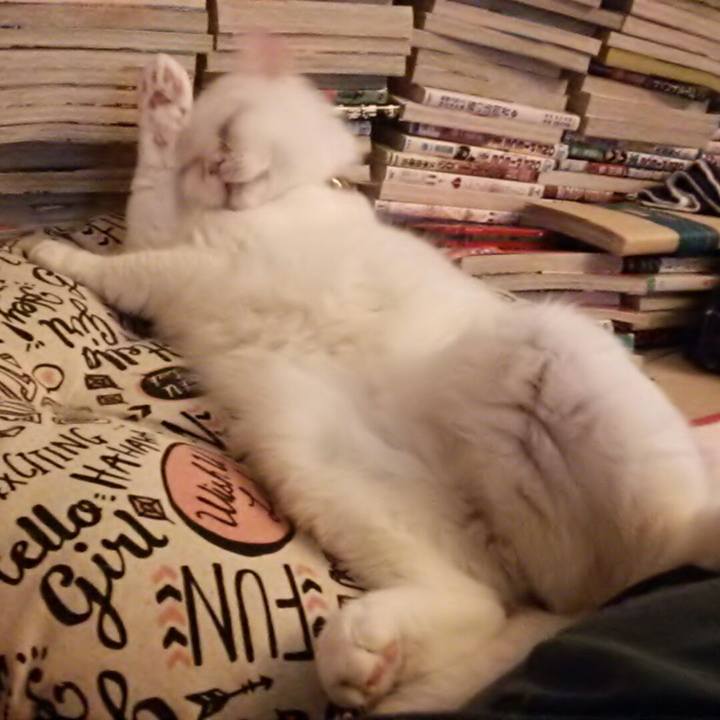 077887b9 6219 483d a5bf 659265b30512