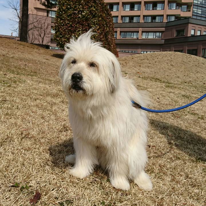 0778ebe1 fac8 4957 b41b c38438ec3c1d