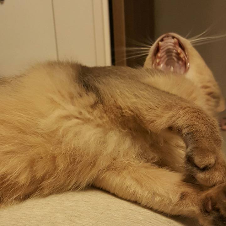 0778f5ef ac51 4af1 9200 c0083c5baec6