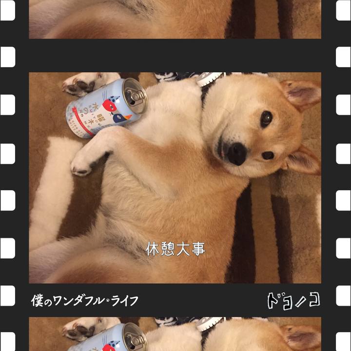 077933c1 1918 4512 b544 0e14fd8b81a7