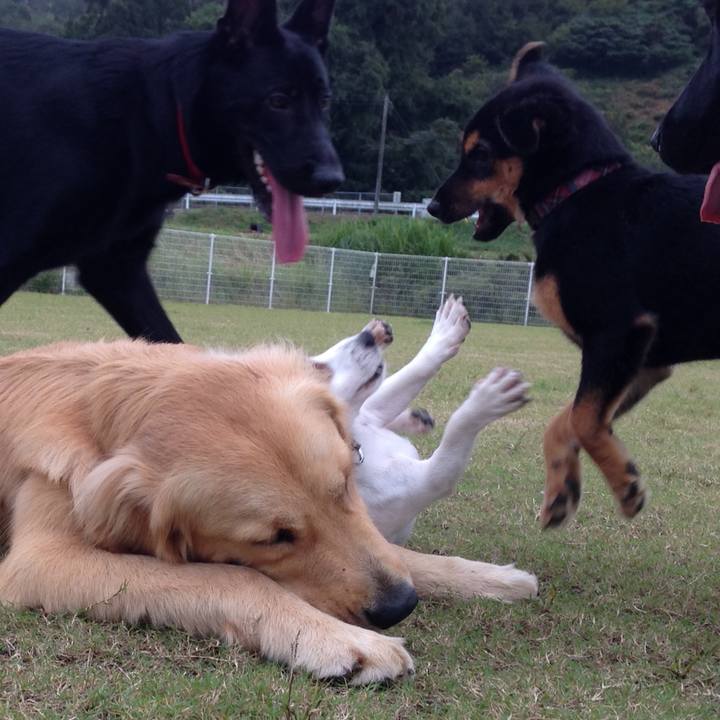 077991e9 f6fa 4244 8a60 0f138c3065c4