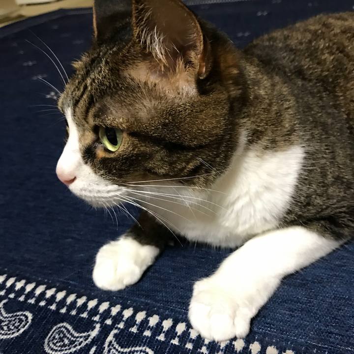 0779d076 1b67 41c1 973a d3cdaf65d852