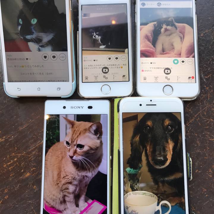 077a2596 9d06 4dde 8af7 41f6467fb284