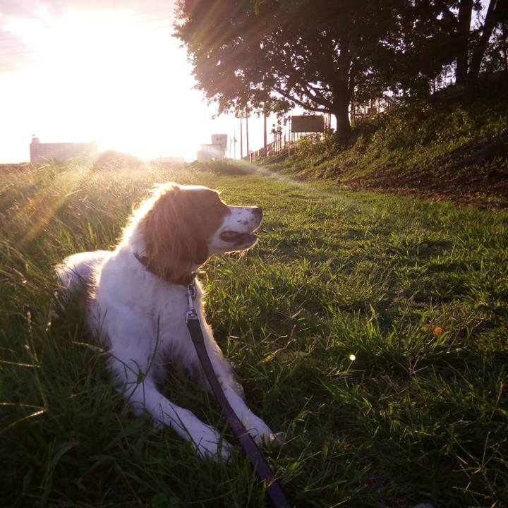 077a5657 67fe 4568 b473 3b3d3ec01c8f