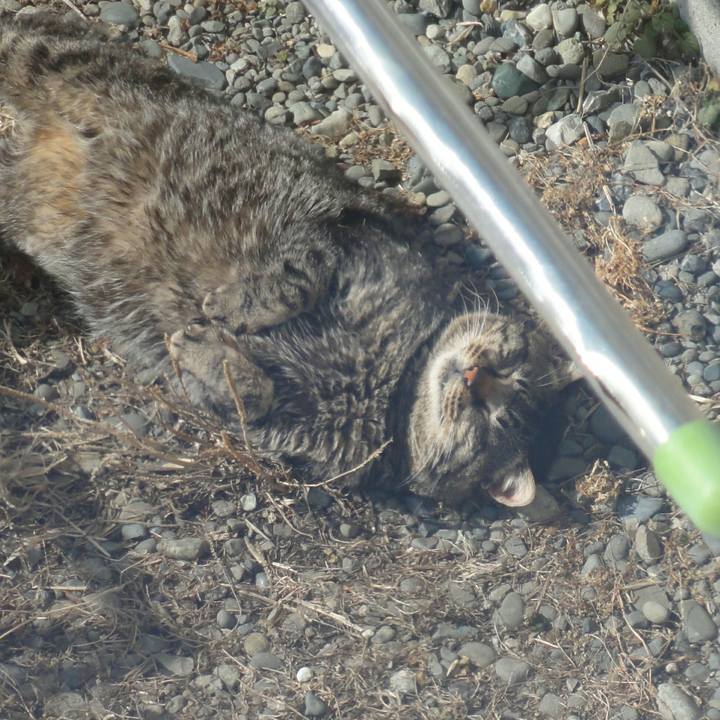 077a6c77 5875 4b50 abd5 d7ff494bab36