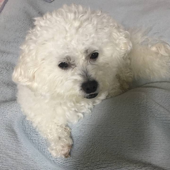 077a749b 99ba 4403 b030 f40d43d0e897