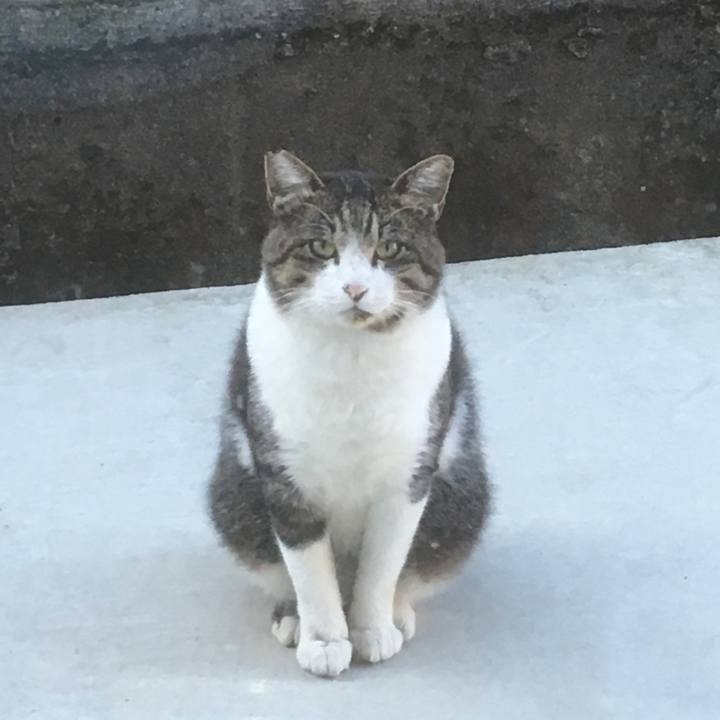 077acbea ce85 4b1e 97ed 21e9cec724b8