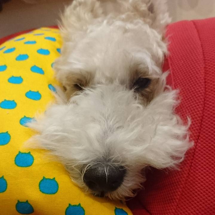 077b36b9 3086 40e5 9dc6 bda5ca55a2c9