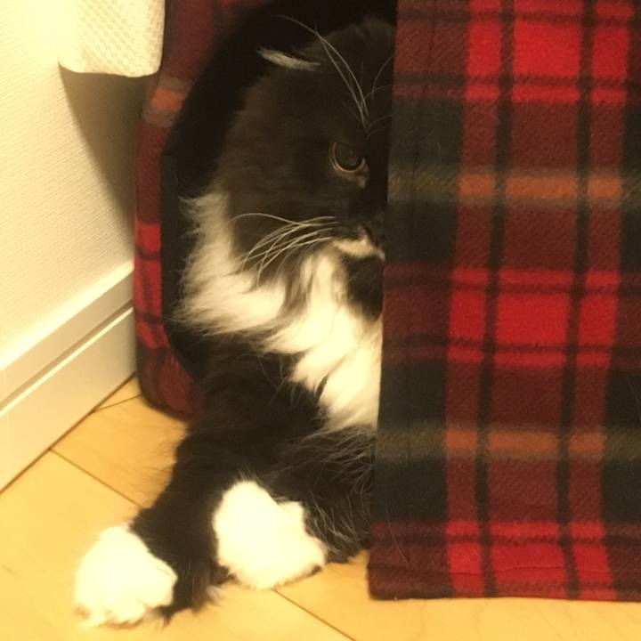 077bbdaa 2db7 4dab bedf b0cf5596b700