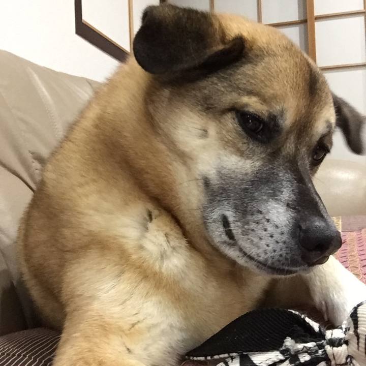 077c7675 d3cd 4a05 91de faff1928f50b