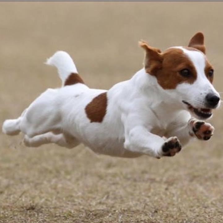 077e0d64 a8ab 468f aa44 7779e295548a