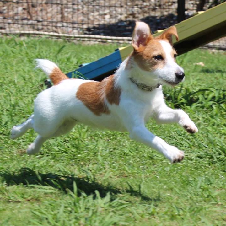 077e6887 8984 4fde 8c6c b22ee57d8fce