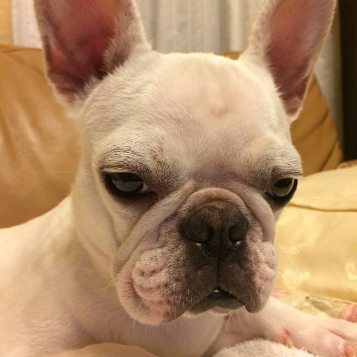 077e9f46 a0ee 42ce 9ee0 495a32a59053