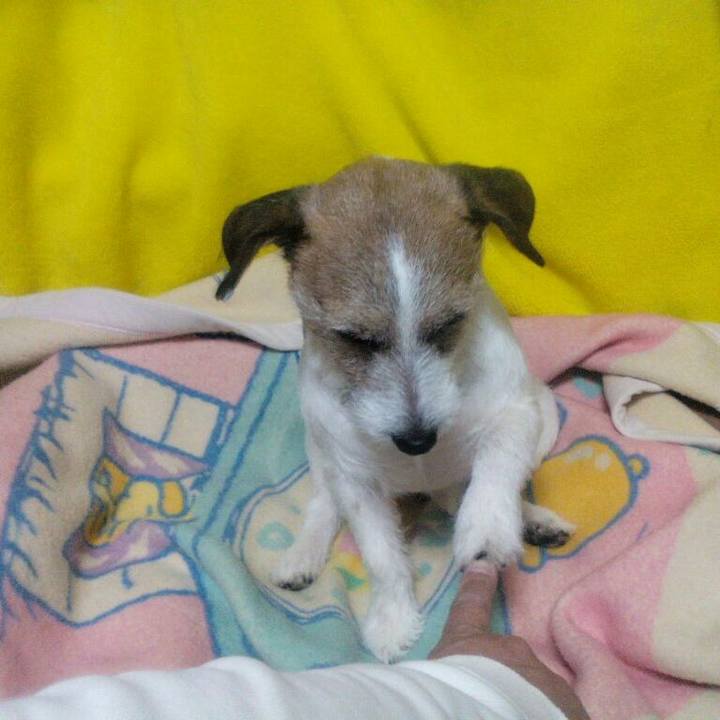 077f042a 4b9e 4389 b5d9 5d8313b2b627