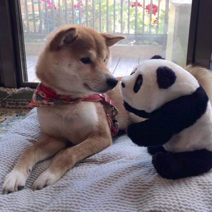 077f55de 54ba 4cd5 8bff 47a178c2b82b