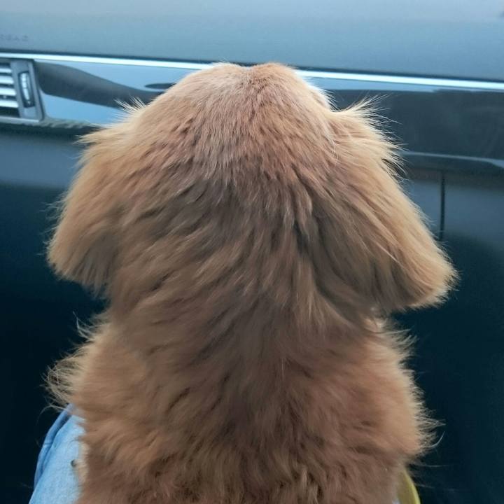 077f8358 fb2f 4e80 9655 3e27ffd53779