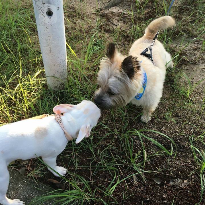 0780cc77 310b 4f48 a3e7 90931ade86f3