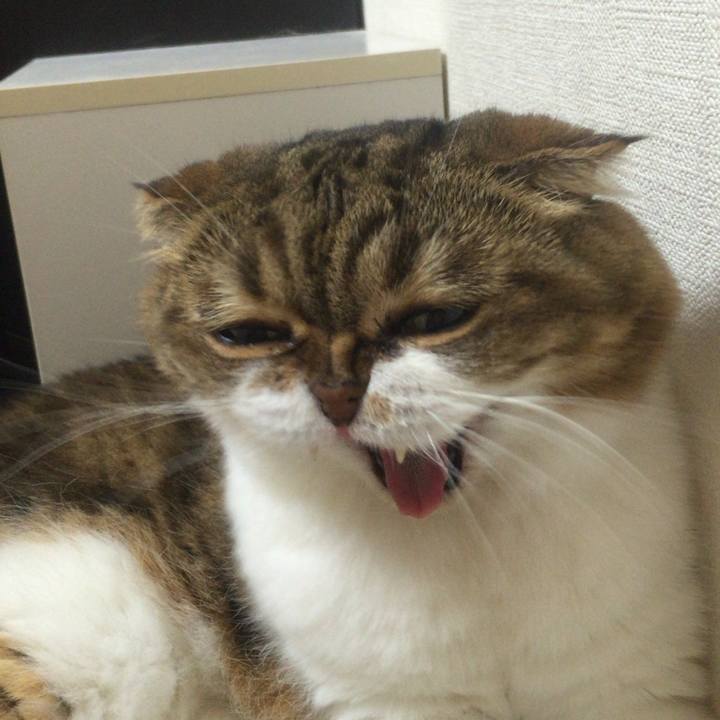 0780f32b 8b7e 4e7b 9832 4cbea775c475