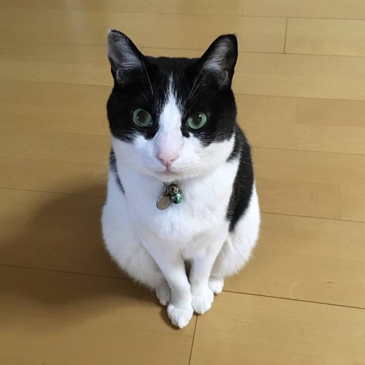 0781c6f7 dceb 4c14 8667 0355b40790c8