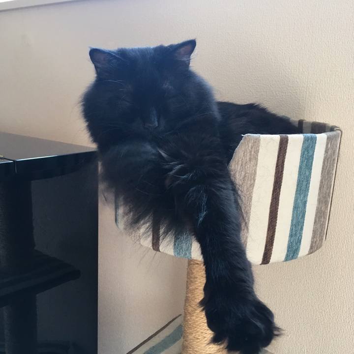 0781f3b7 357c 4f74 b403 dee263c680cd