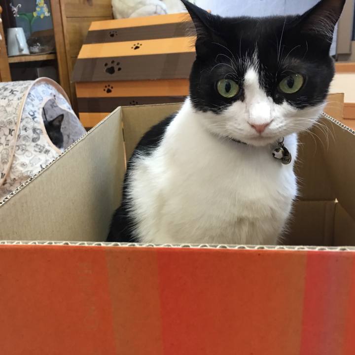 07827142 299e 4cae 9c6e ef302322e5ec