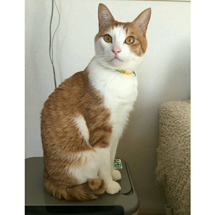 078286c0 f624 4cae 9a1f a01be6152a78