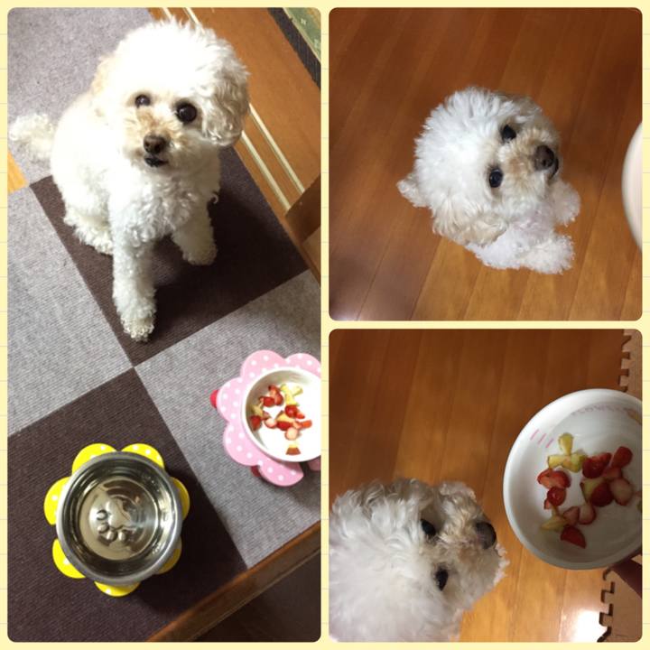 0782a1fb 486e 4d7d 8bd9 6a043a9da085