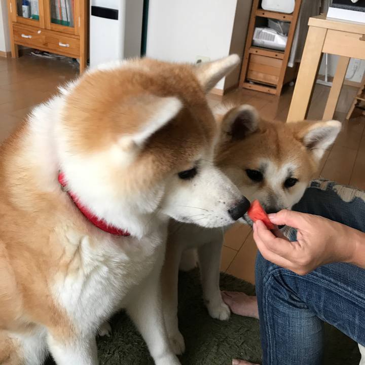 0782dc7e 6b0d 4449 a2e1 cf7398b4589c