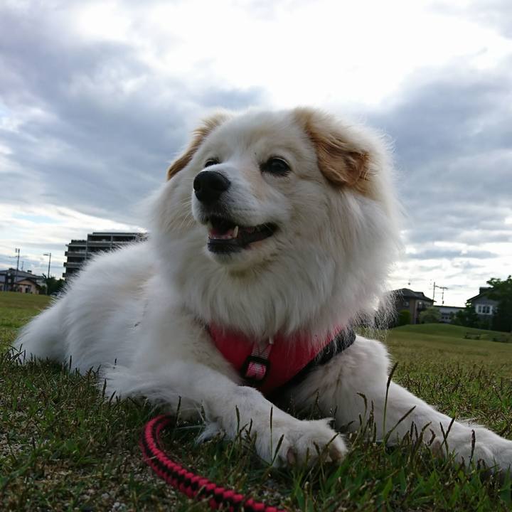 0782f6de 7e2c 41b2 9d3f 2f0e8d962266