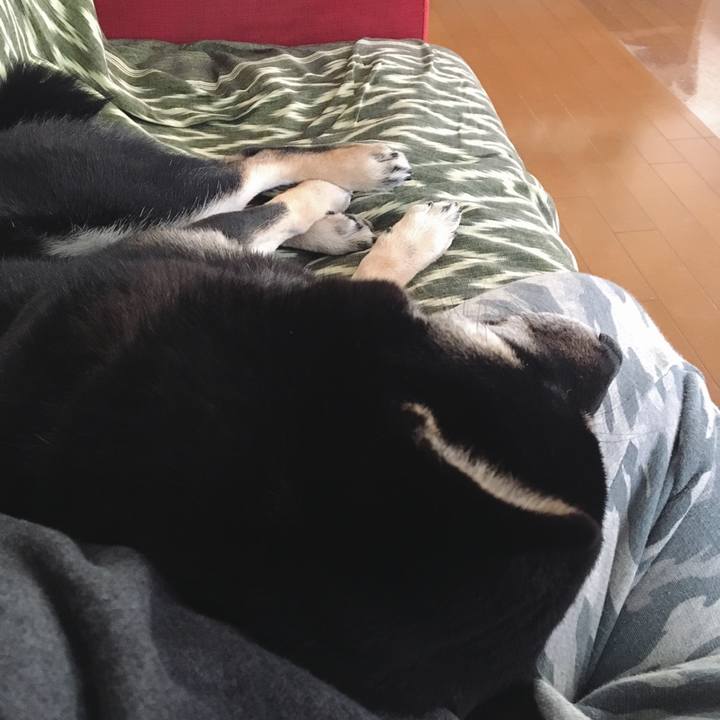 07838333 d299 4efb 81a8 fd7d47c5fc86