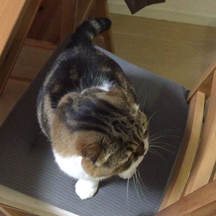 0783d812 f07b 4bb2 b632 6a7f480310d1