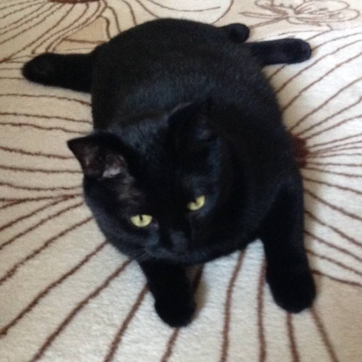 078457e3 26aa 4d5f 9edd e42f10212b71