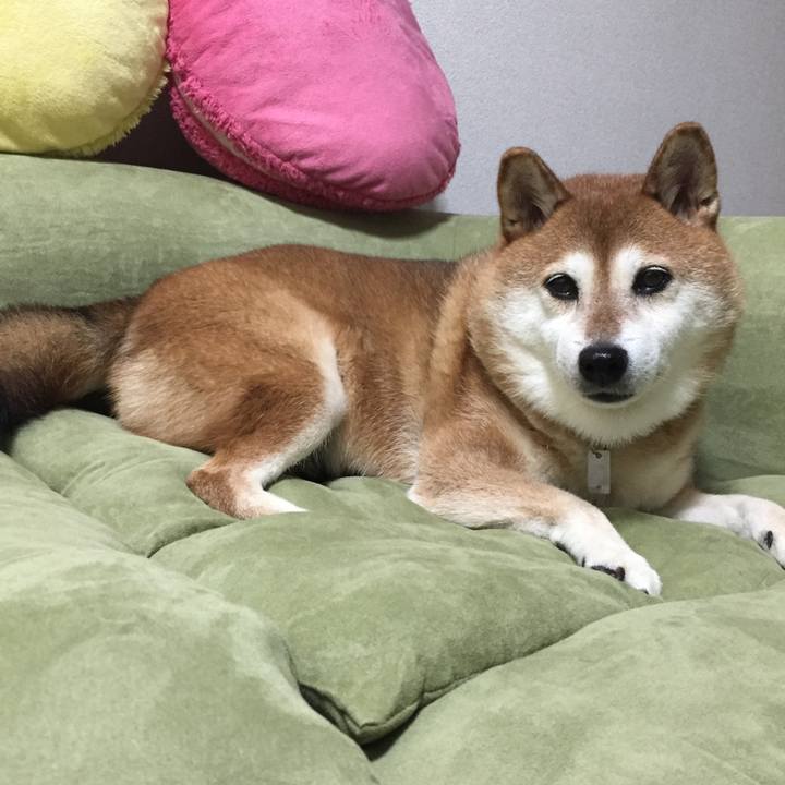 07852eb4 9dc3 4a21 a6ee 652437e407b0