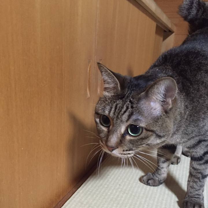 0785cd4d 4c99 4e72 baa4 5f4039376175