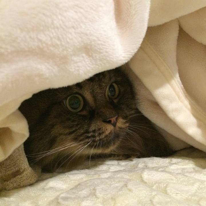 07861b1c 006c 4893 8788 8ce47e26bd18