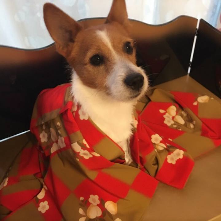 078660cb 4c55 45e9 b147 1e59cf2caa8b