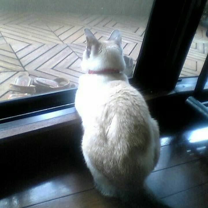 07869085 8d49 4d8d 811c 8d6ad04d07f6