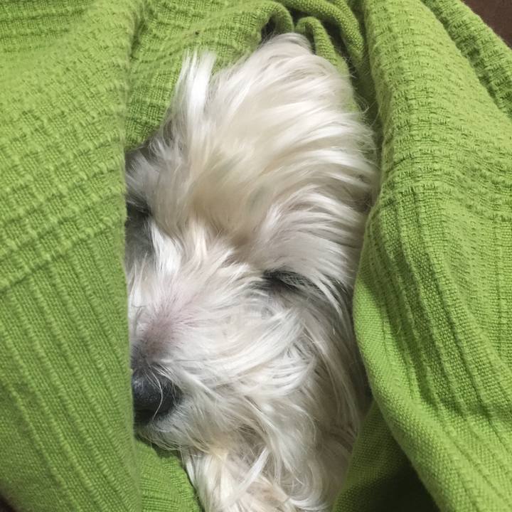 0786b82a 7349 4a0f 9da6 8d163c82f8be