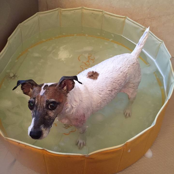 07871490 73fb 4c71 a981 26ccc246a12d