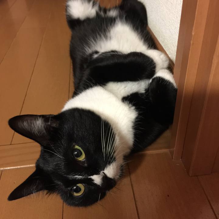 078747e9 a6d7 4d70 bb39 c0e041115980