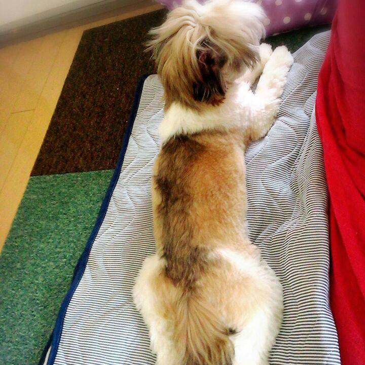 07881a0c 7b4d 4eb0 8aa2 aa7ed83cfdc2