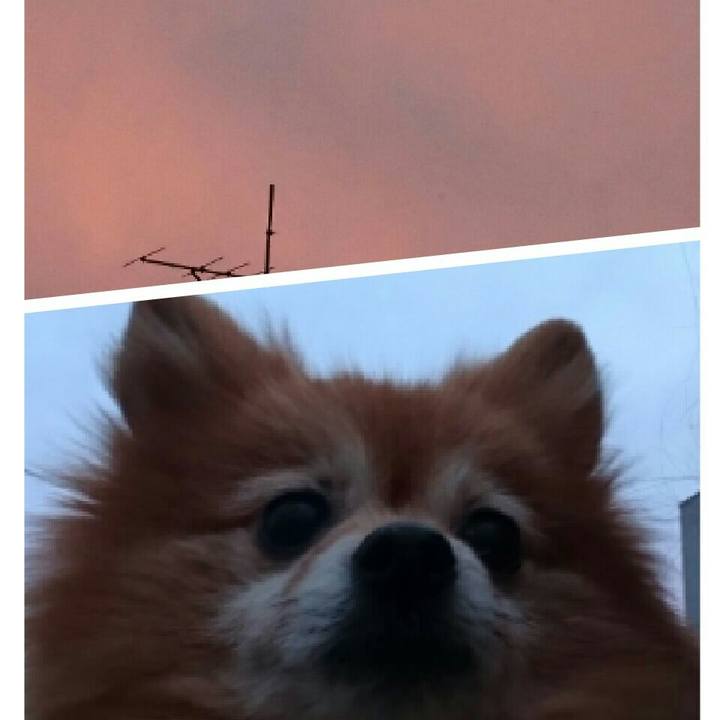 078825d0 c40f 4288 a30a e869bca37407