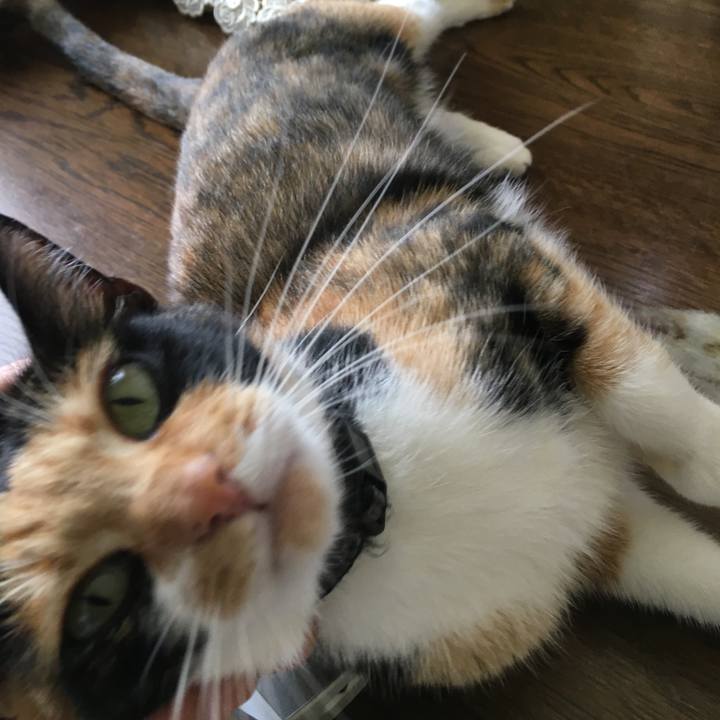 07888975 a345 4b6e a693 6c86456cdb61