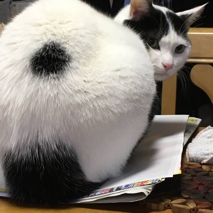 0788ba4b 7ce3 4223 bf00 ce274062952c