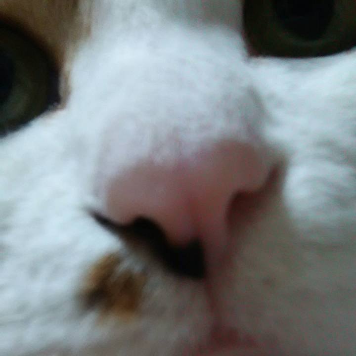 0788e2df 4e54 4d03 bc65 cd990b7c960b