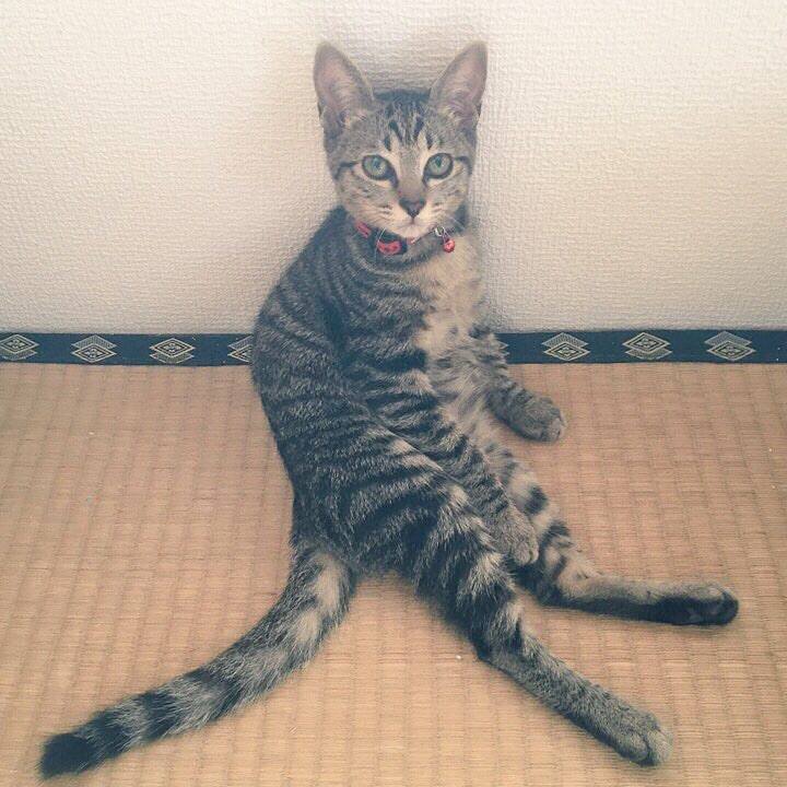 0789d3fb f004 4f0a a514 0a9e2adeee00