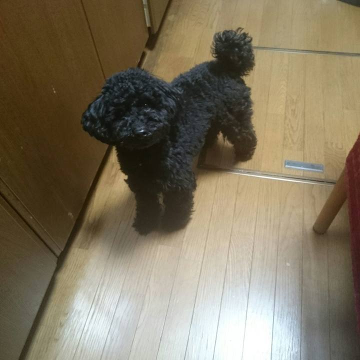 078a05d4 a2b6 4e3d 8761 ae2926c2be6d