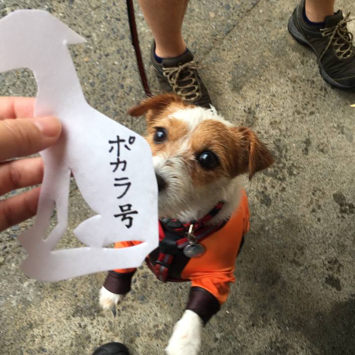 078a109f 3861 465f b4f2 c683afbdd534