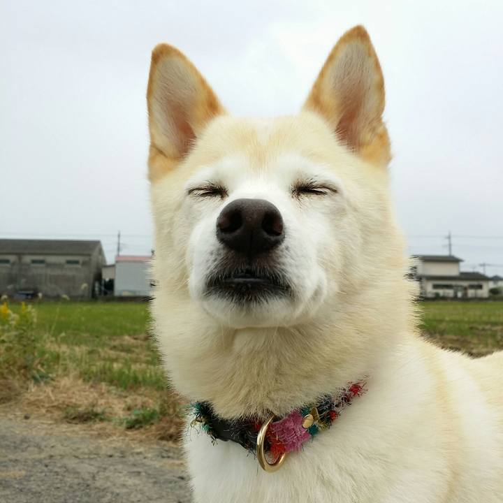 078a5953 13c3 4442 9ac2 dce260bfa963